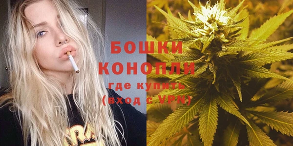 гидра Алексеевка