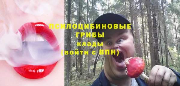 гидра Алексеевка