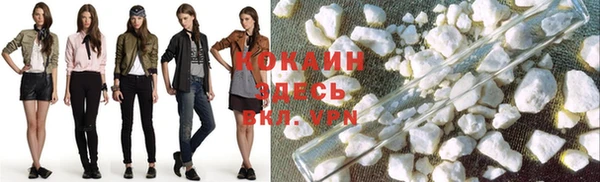 кокс Аркадак